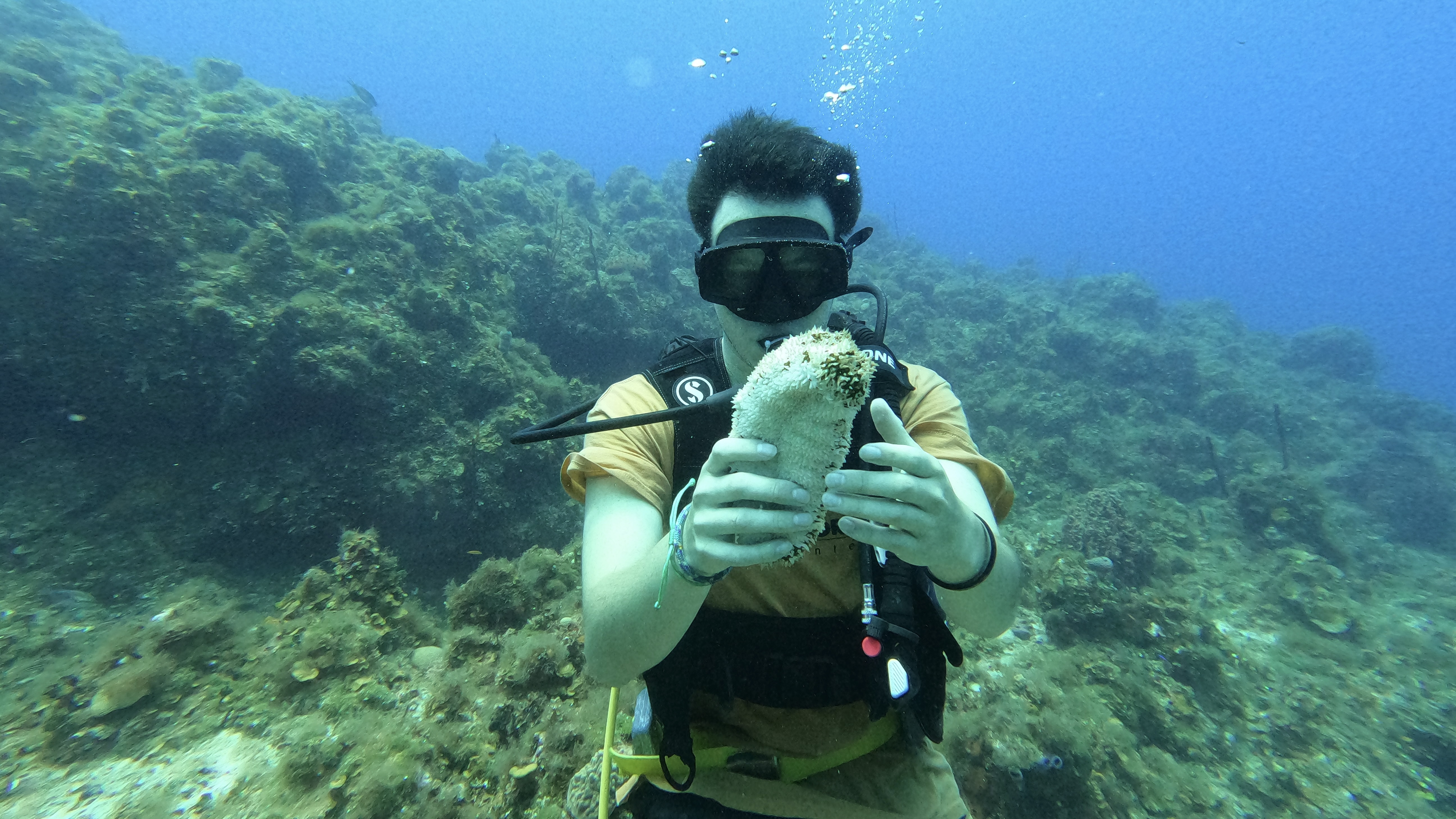 Scuba diving