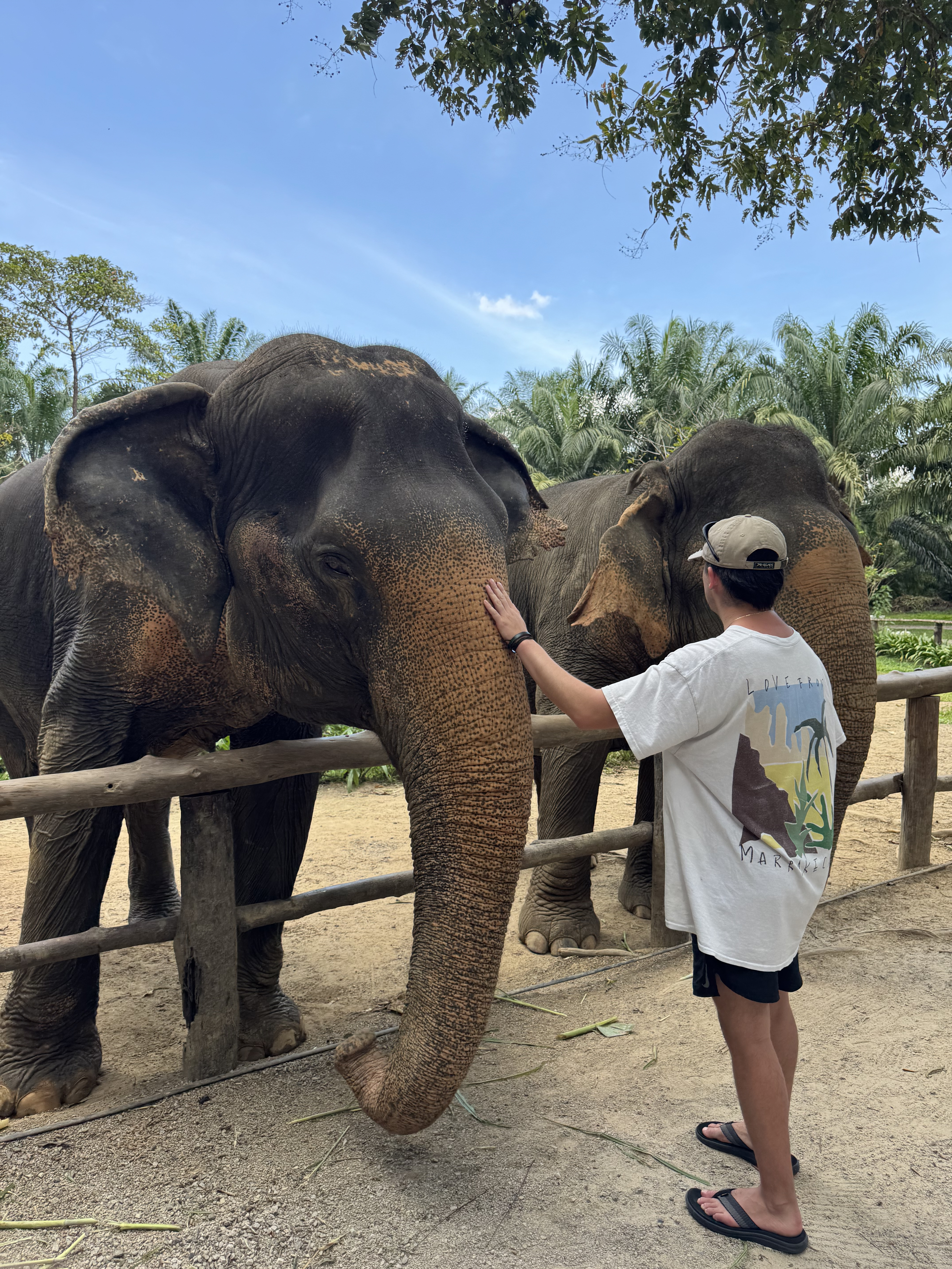 With elephants in Thailand